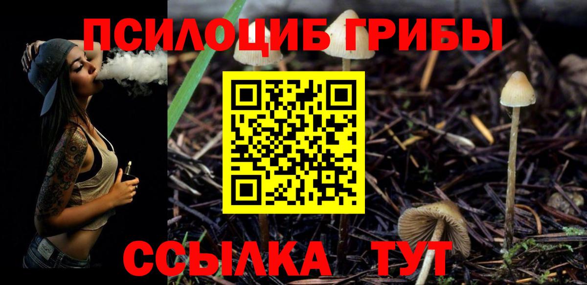 Киселёвск  Псилоцибиновые грибы Magic Shrooms  Галлюциногенные грибы Psilocybe  Вход с VPN 