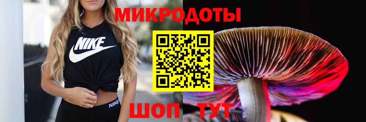 Псилоцибиновые грибы Magic Shrooms Киселёвск
